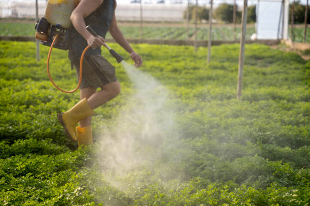 Professional Pest Control in Fort Madison, IA